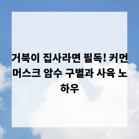 거북이 집사라면 필독! 커먼머스크 암수 구별과 사육 노하우