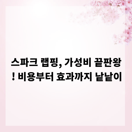 스파크 랩핑, 가성비 끝판왕! 비용부터 효과까지 낱낱이