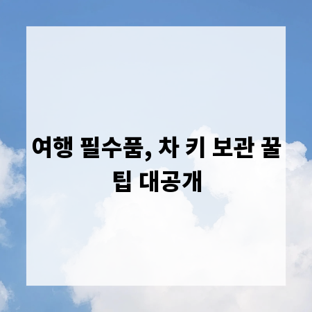 여행 필수품, 차 키 보관 꿀팁 대공개