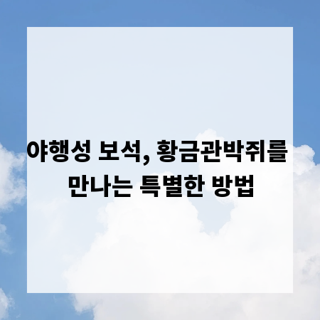 야행성 보석, 황금관박쥐를 만나는 특별한 방법