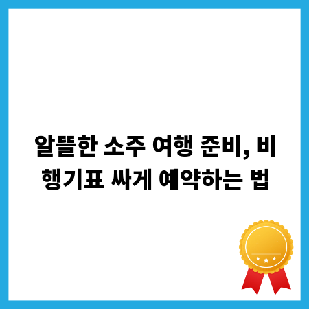 알뜰한 소주 여행 준비, 비행기표 싸게 예약하는 법