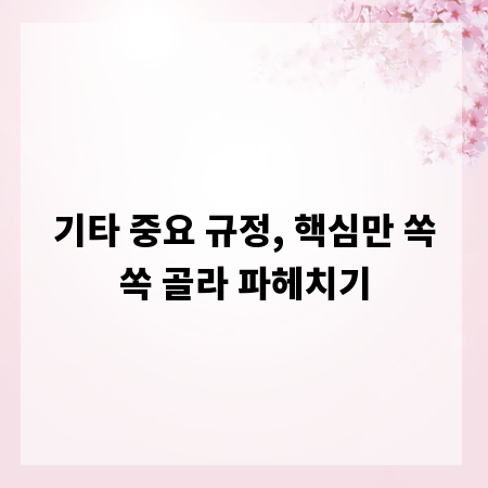 기타 중요 규정, 핵심만 쏙쏙 골라 파헤치기
