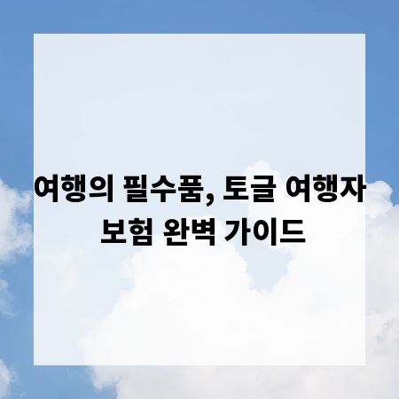 여행의 필수품, 토글 여행자 보험 완벽 가이드