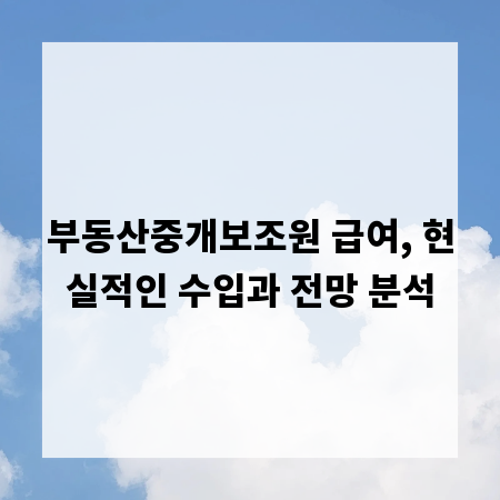 부동산중개보조원 급여, 현실적인 수입과 전망 분석