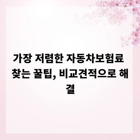 가장 저렴한 자동차보험료 찾는 꿀팁, 비교견적으로 해결