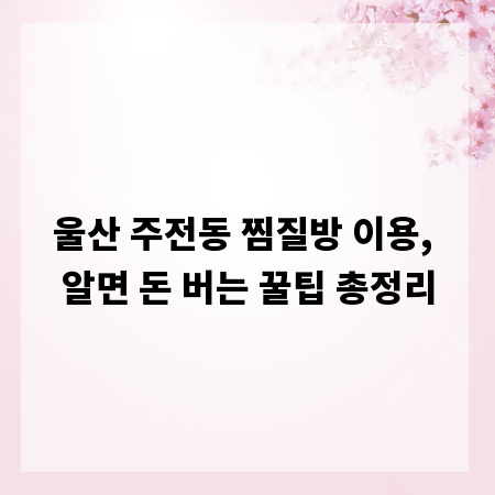 울산 주전동 찜질방 이용, 알면 돈 버는 꿀팁 총정리