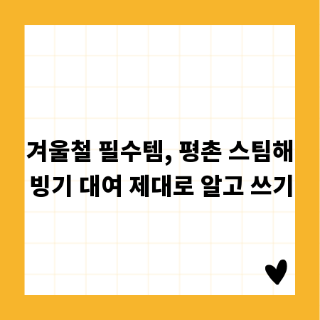 겨울철 필수템, 평촌 스팀해빙기 대여 제대로 알고 쓰기