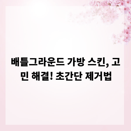 배틀그라운드 가방 스킨, 고민 해결! 초간단 제거법