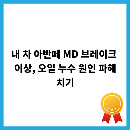 내 차 아반떼 MD 브레이크 이상, 오일 누수 원인 파헤치기