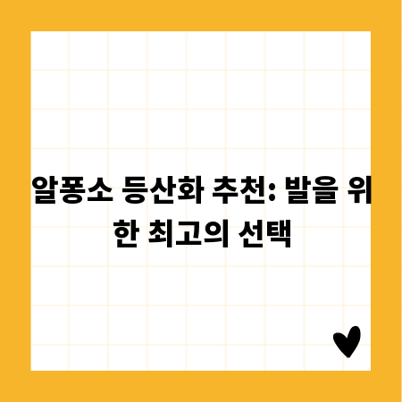 알퐁소 등산화 추천: 발을 위한 최고의 선택