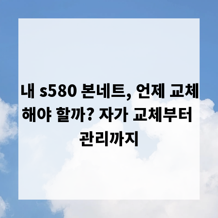 내 s580 본네트, 언제 교체해야 할까? 자가 교체부터 관리까지