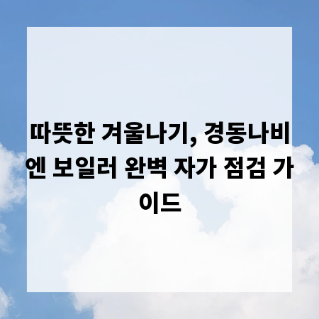따뜻한 겨울나기, 경동나비엔 보일러 완벽 자가 점검 가이드