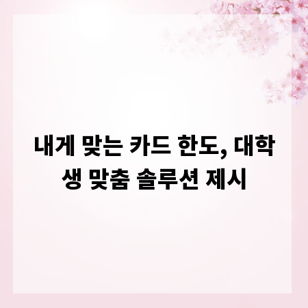 내게 맞는 카드 한도, 대학생 맞춤 솔루션 제시