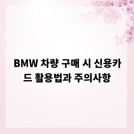 BMW 차량 구매 시 신용카드 활용법과 주의사항