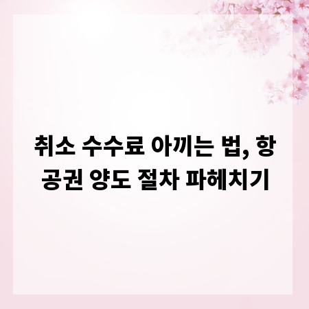 취소 수수료 아끼는 법, 항공권 양도 절차 파헤치기