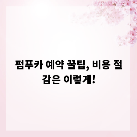 펌푸카 예약 꿀팁, 비용 절감은 이렇게!