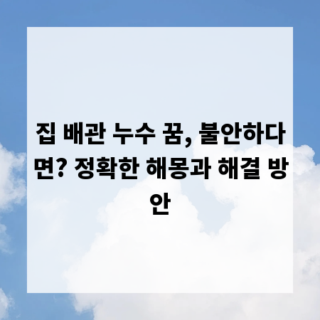 집 배관 누수 꿈, 불안하다면? 정확한 해몽과 해결 방안