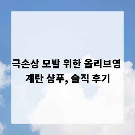 극손상 모발 위한 올리브영 계란 샴푸, 솔직 후기