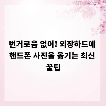 번거로움 없이! 외장하드에 핸드폰 사진을 옮기는 최신 꿀팁