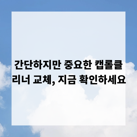 간단하지만 중요한 캡롤클리너 교체, 지금 확인하세요