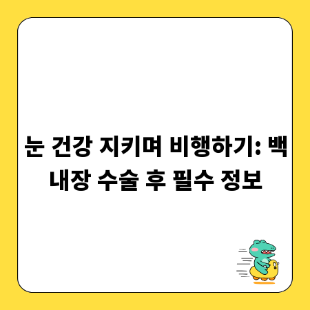 눈 건강 지키며 비행하기: 백내장 수술 후 필수 정보
