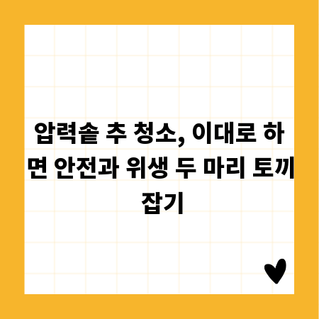 압력솥 추 청소, 이대로 하면 안전과 위생 두 마리 토끼 잡기