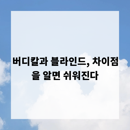 버디칼과 블라인드, 차이점을 알면 쉬워진다