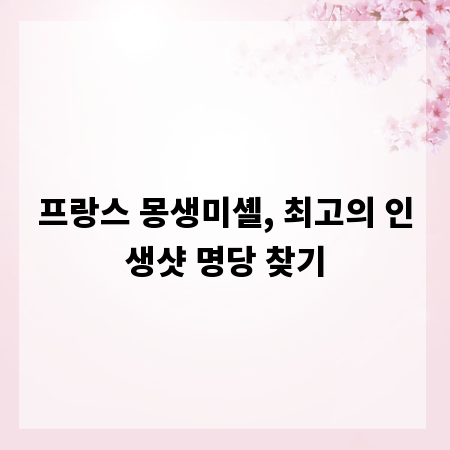 프랑스 몽생미셸, 최고의 인생샷 명당 찾기