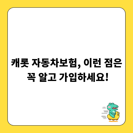 캐롯 자동차보험, 이런 점은 꼭 알고 가입하세요!