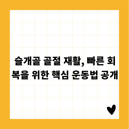 슬개골 골절 재활, 빠른 회복을 위한 핵심 운동법 공개