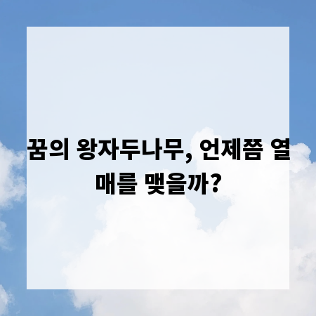 꿈의 왕자두나무, 언제쯤 열매를 맺을까?