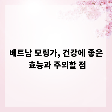 베트남 모링가, 건강에 좋은 효능과 주의할 점