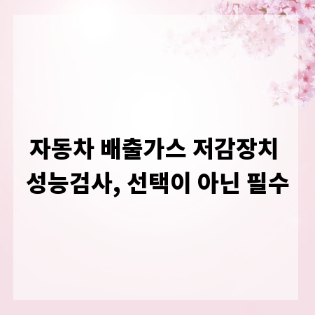 자동차 배출가스 저감장치 성능검사, 선택이 아닌 필수