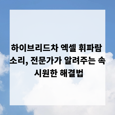 하이브리드차 엑셀 휘파람 소리, 전문가가 알려주는 속 시원한 해결법