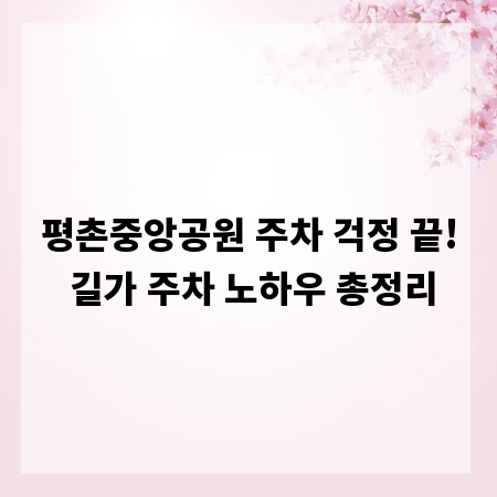 평촌중앙공원 주차 걱정 끝! 길가 주차 노하우 총정리