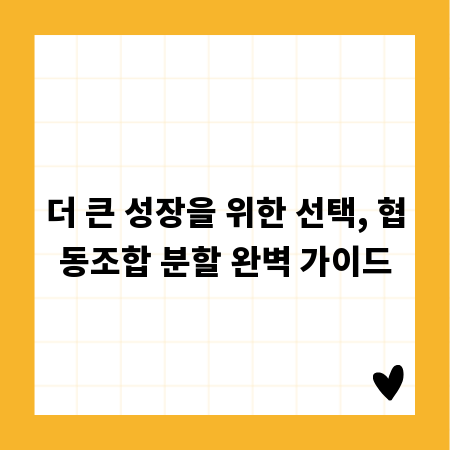 더 큰 성장을 위한 선택, 협동조합 분할 완벽 가이드