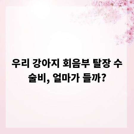 우리 강아지 회음부 탈장 수술비, 얼마가 들까?