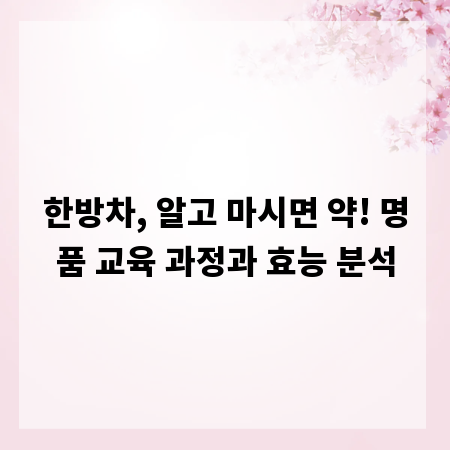 한방차, 알고 마시면 약! 명품 교육 과정과 효능 분석