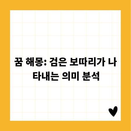 꿈 해몽: 검은 보따리가 나타내는 의미 분석