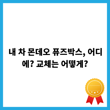내 차 몬데오 퓨즈박스, 어디에? 교체는 어떻게?