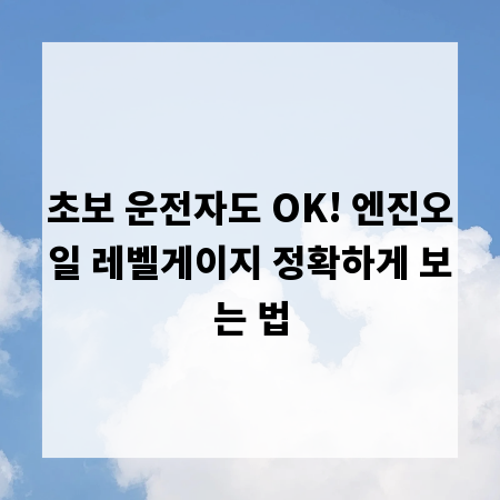 초보 운전자도 OK! 엔진오일 레벨게이지 정확하게 보는 법