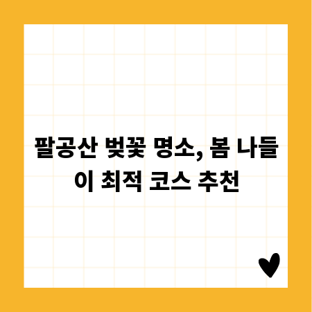 팔공산 벚꽃 명소, 봄 나들이 최적 코스 추천