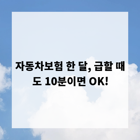자동차보험 한 달, 급할 때도 10분이면 OK!
