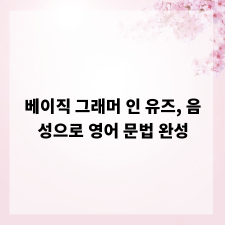 베이직 그래머 인 유즈, 음성으로 영어 문법 완성