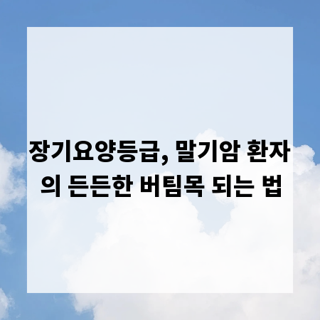 장기요양등급, 말기암 환자의 든든한 버팀목 되는 법