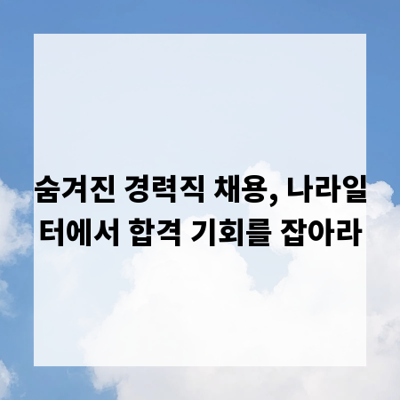 숨겨진 경력직 채용, 나라일터에서 합격 기회를 잡아라