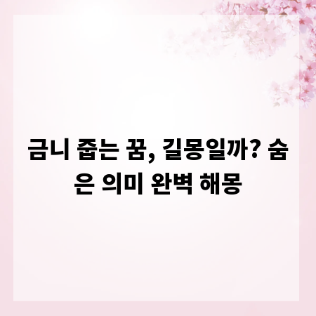 금니 줍는 꿈, 길몽일까? 숨은 의미 완벽 해몽