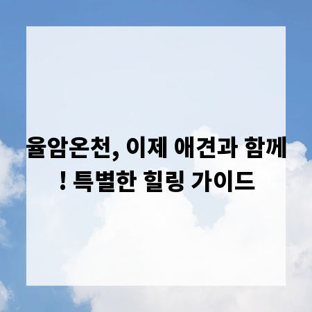율암온천, 이제 애견과 함께! 특별한 힐링 가이드