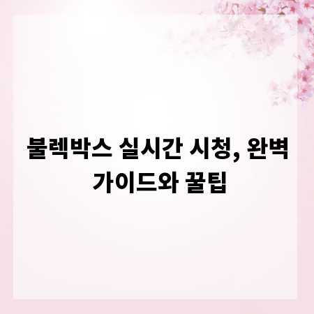 불렉박스 실시간 시청, 완벽 가이드와 꿀팁