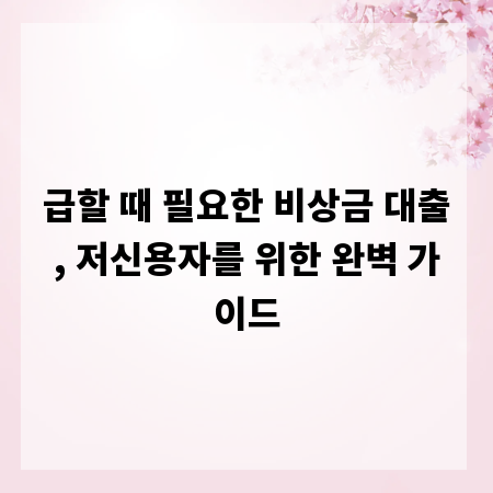 급할 때 필요한 비상금 대출, 저신용자를 위한 완벽 가이드